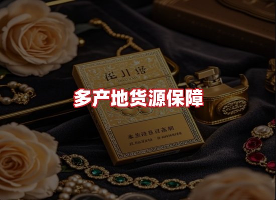 专业团队